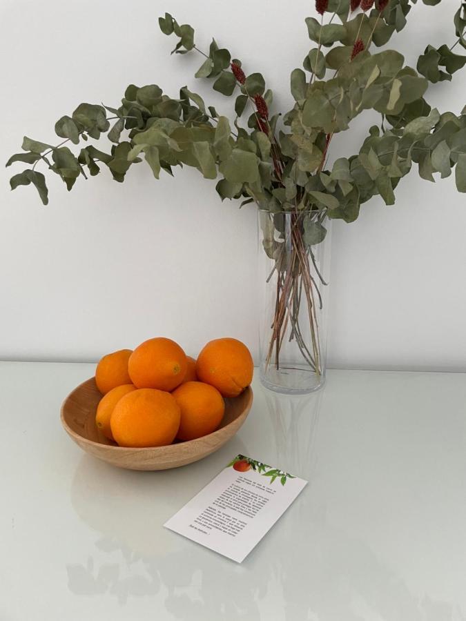 Apartamentos Con Encanto En El Centro De Granada Luaran gambar